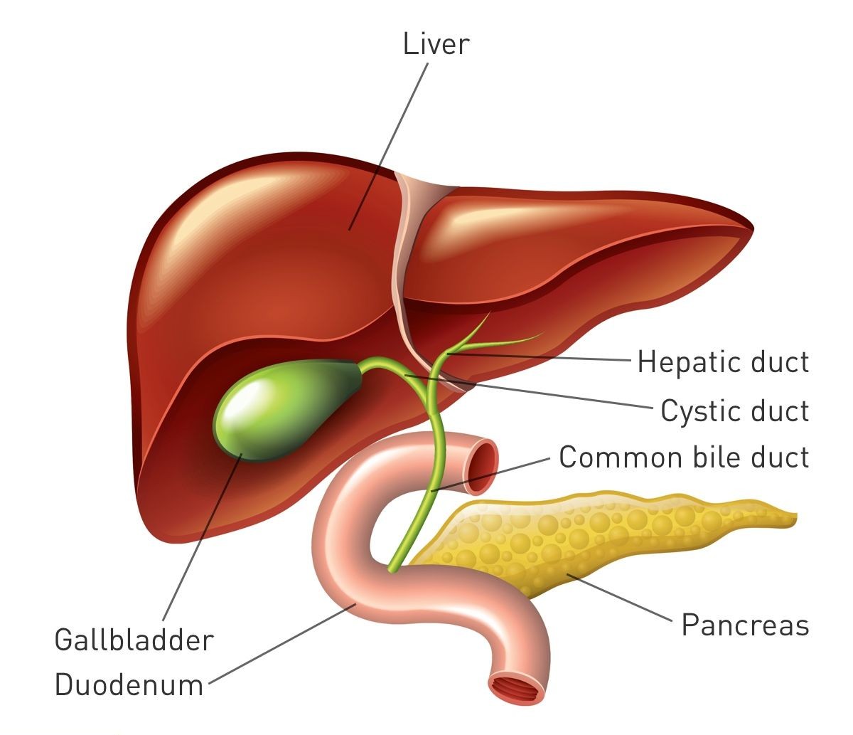 Gangrenous Cholecystitis: Symptoms & Treatment