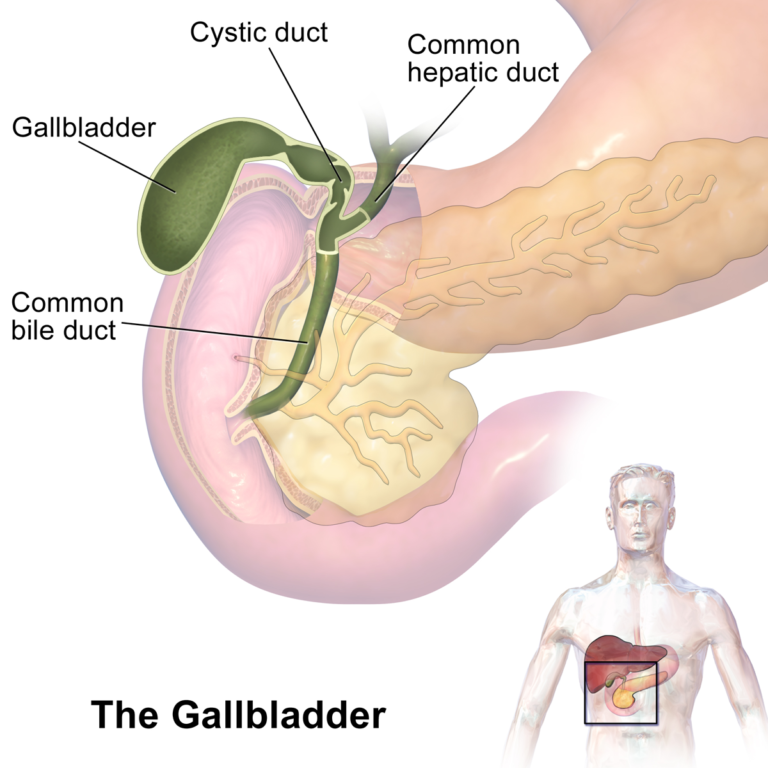 best-gallbladder-stone-surgeon-in-delhi
